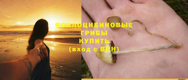 альфа пвп Белокуриха
